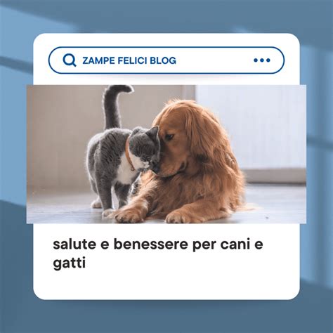 Toelettatura a Domicilio: Benessere per Cani e Gatti.